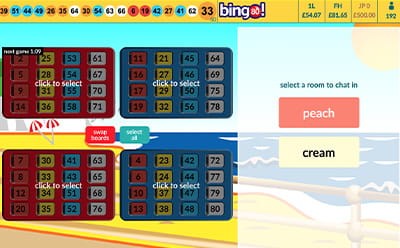Het Bingo 80 Spel bij Tombola